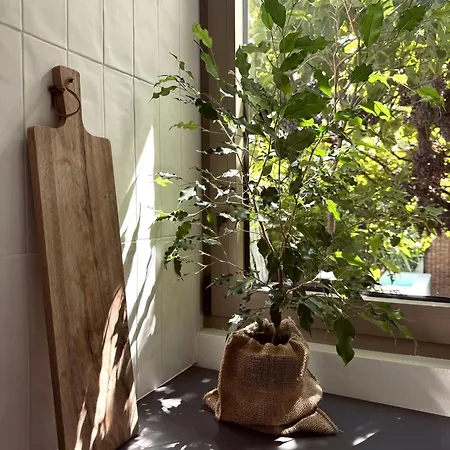 Διαμέρισμα Casa Dvornik