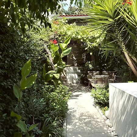 Casa Dvornik 아파트 *